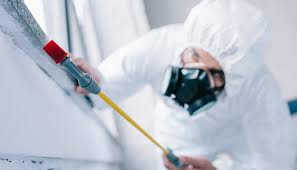 Best Emergency Pest Control  in North Baltimore, OH